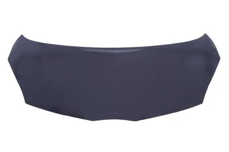 Кришка двигуна BLIC 6803-00-8101280Q