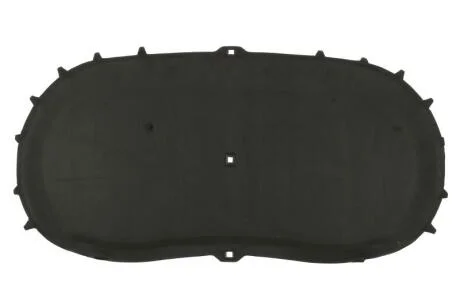 Ізоляція підкапотного простору BLIC 6804-00-9548290P