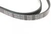 Ремінь генератора поліклиновий BLUE PRINT AD04R1538 (фото 4)