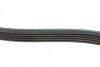Ремень генератора Renault Kangoo/ Modus 1.4-1.6 04-/ Toyota Avensis/ Corolla 2.0 99-03 (5PK1135) BLUE PRINT AD05R1135 (фото 2)