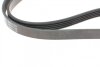 Ремень генератора Renault Kangoo/ Modus 1.4-1.6 04-/ Toyota Avensis/ Corolla 2.0 99-03 (5PK1135) BLUE PRINT AD05R1135 (фото 3)