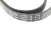 Ремінь генератора поліклиновий BLUE PRINT AD06R1718 (фото 4)