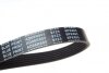 Ремень генератора Citroen Berlingo/Peugeot Partner 1.6HDI/ Ford Fiesta/ Focus 1.4-1.6 TDCi 01- BLUE PRINT AD06R805 (фото 2)