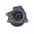 Водяной насос BLUE PRINT ADC49160 (фото 2)