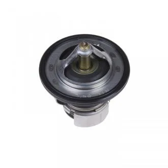 Термостат, охолоджувальна рідина BLUE PRINT ADD69209