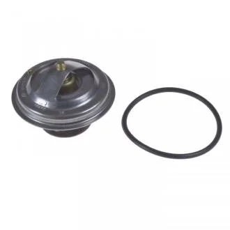 Термостат BLUE PRINT ADJ139202