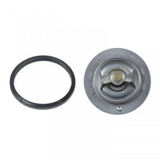 Термостат, охлаждающая жидкость BLUE PRINT ADT39212