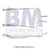 Труба выхлопного газа BM CATALYSTS BM50243 (фото 2)