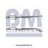 Каталізатор BM CATALYSTS BM80193H (фото 1)