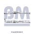Каталізатор BM CATALYSTS BM90056H (фото 1)