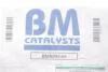 Каталізатор вихлопної системи BM CATALYSTS BM90954H (фото 3)