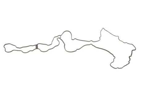 Прокладка клапанної кришки N63 (цил. 1-4) BMW 11127566288