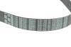 Комплект поліклинових ременів BMW 11289887028 (фото 2)