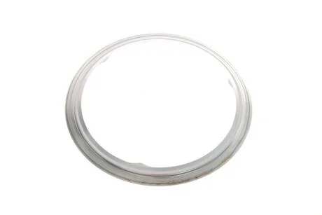 Ущільнювач каталізатору N57 BMW 18 30 7 803 853