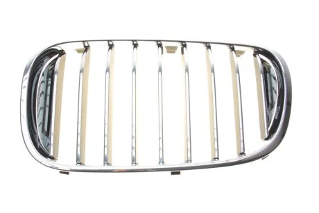 Решітка декор Л Пд BMW 51138065539