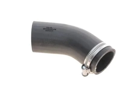 Патрубок інтеркулера BOGAP A1711117