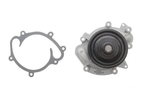 Помпа води BOGAP C4234101