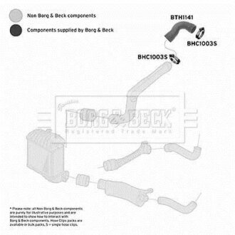 Шланг подачі наддувального повітря BORG & BECK BTH1141