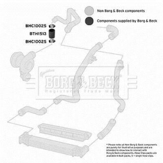 Шланг подачі наддувального повітря BORG & BECK BTH1513