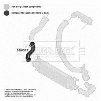 Шланг подачі наддувального повітря BORG & BECK BTH1565