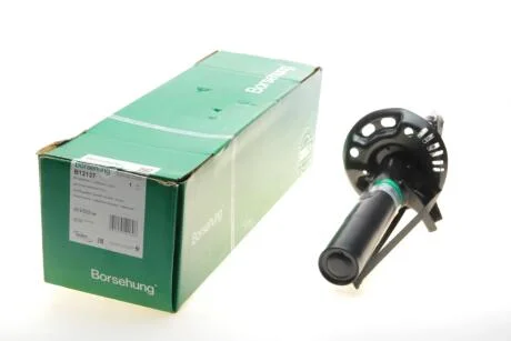 Передній амортизатор Borsehung B12137