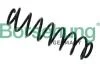 Задня пружина Borsehung B12627 (фото 1)
