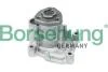 Насос системи охолодження (OE) Borsehung B12696 (фото 1)