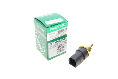 Датчик температури Borsehung B13133