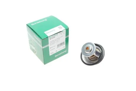 Термостат Borsehung B13141