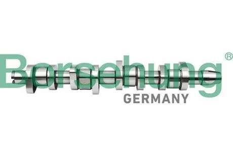 Вал розподiльчий (OE) Borsehung B17861