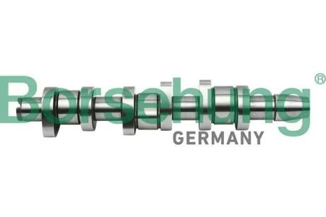 Розподільний вал Borsehung B17862