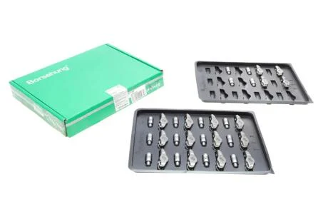 Набір гідро компенсаторів і роликових важелів 06E109417F (16x16) Borsehung B18209