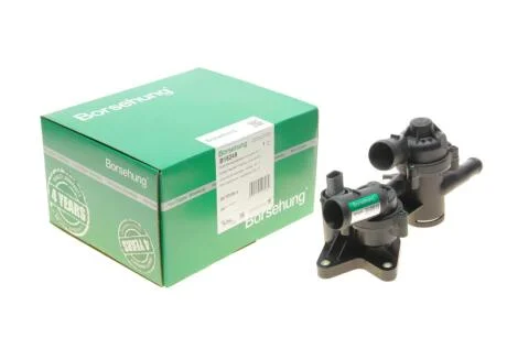 Термостат Borsehung B18249