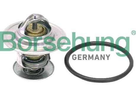 Термостат 71℃ Borsehung B18262
