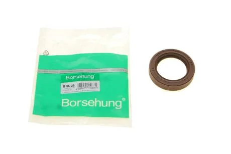 Сальник розподільчого валу Borsehung B18729