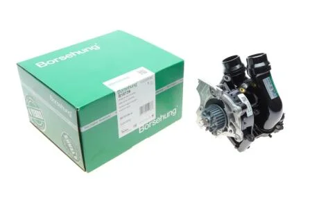 Помпа з Термостатом (відсутній Датчик температури) Borsehung B18736