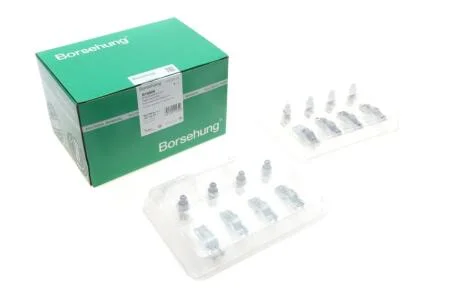 Набір гідрокомпенсаторів і роликових важелів 059109417J (8x8) Borsehung B18806