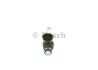 Форсунка бензин NISSAN/RENAULT Juke/X-Trail/Meagne \&#039;\&#039;1.6DIG-T \&#039;\&#039;10-22 BOSCH 0 261 500 210 (фото 1)