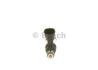 Форсунка бензин JAGUAR/LAND ROVER XE/Freelander/Evoque \&#039;\&#039;2.0 \&#039;\&#039;11&gt;&gt; BOSCH 0 261 500 417 (фото 1)