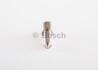 Розпилювач DLLA 135 P 250 IVECO 4,0/5,9/6,0 (4/6цил.) 91-00 BOSCH 0 433 171 200 (фото 4)