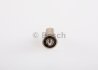 Розпилювач безштифтовий BOSCH 0 433 250 055 (фото 2)