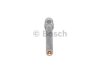 Форсунка бензинова BOSCH 0 437 502 012 (фото 2)