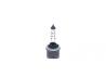 Лампа розжарювання 12V 27W H27W/1 PURE LIGHT BOSCH 1 987 302 024 (фото 2)