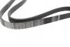 Поліклиновий ремінь (6PK1250) VOLVO 850, 960, 960 II, C70 I, S70, S90 I, V70 I, V90 I CHEVROLET CRUZE, TRAX CHRYSLER VOYAGER IV DODGE CARAVAN, STRATUS II FORD C-MAX II, FIESTA VII 1.0-2.9 08.90- BOSCH 1 987 946 087 (фото 2)