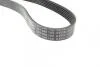 Ремінь П-клиновий 6EPK1029 (Elastic) FORD FIESTA VI 08- BOSCH 1 987 946 143 (фото 2)