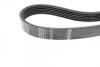 Ремінь П-клиновий 6EPK1029 (Elastic) FORD FIESTA VI 08- BOSCH 1 987 946 143 (фото 3)
