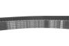 Ремкомплект ГРМ + помпа AUDI/SKODA/VW A3/A4/A6/TT/Octavia/Bora/Golf/Sharan "1,8 "99-10 BOSCH 1 987 946 493 (фото 14)