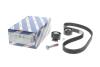РМК ГРМ Z=116 CITROEN/FIAT/FORD C4/C5/C8/Scudo/Focus/Kuga/Mondeo \&#039;\&#039;2.0 \&#039;\&#039;10&gt;&gt; BOSCH 1987946699 (фото 2)