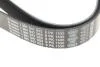 Поліклиновий ремінь BOSCH 1 987 947 053 (фото 5)