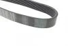 Ремінь полікліновий BOSCH 1 987 947 562 (фото 2)